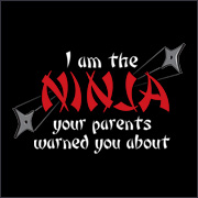 I AM THE NINJA YOUR PARENTS WARNED YOU ABOUT