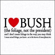 I LOVE BUSH! (THE FOLIAGE NOT THE PRESIDENT)- AND I DON'T MEAN FOLIAGE THE WAY YOU MAY THINK