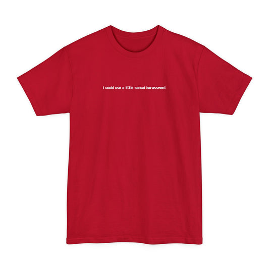 I Could Use A Little Sexual Harassment - Men's Tall T-Shirt