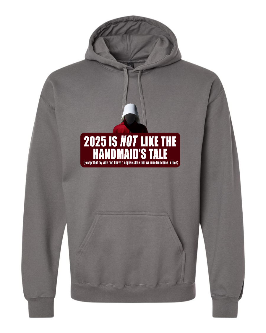 2025 is Not like the Handmaid’s Tale - Hoodie