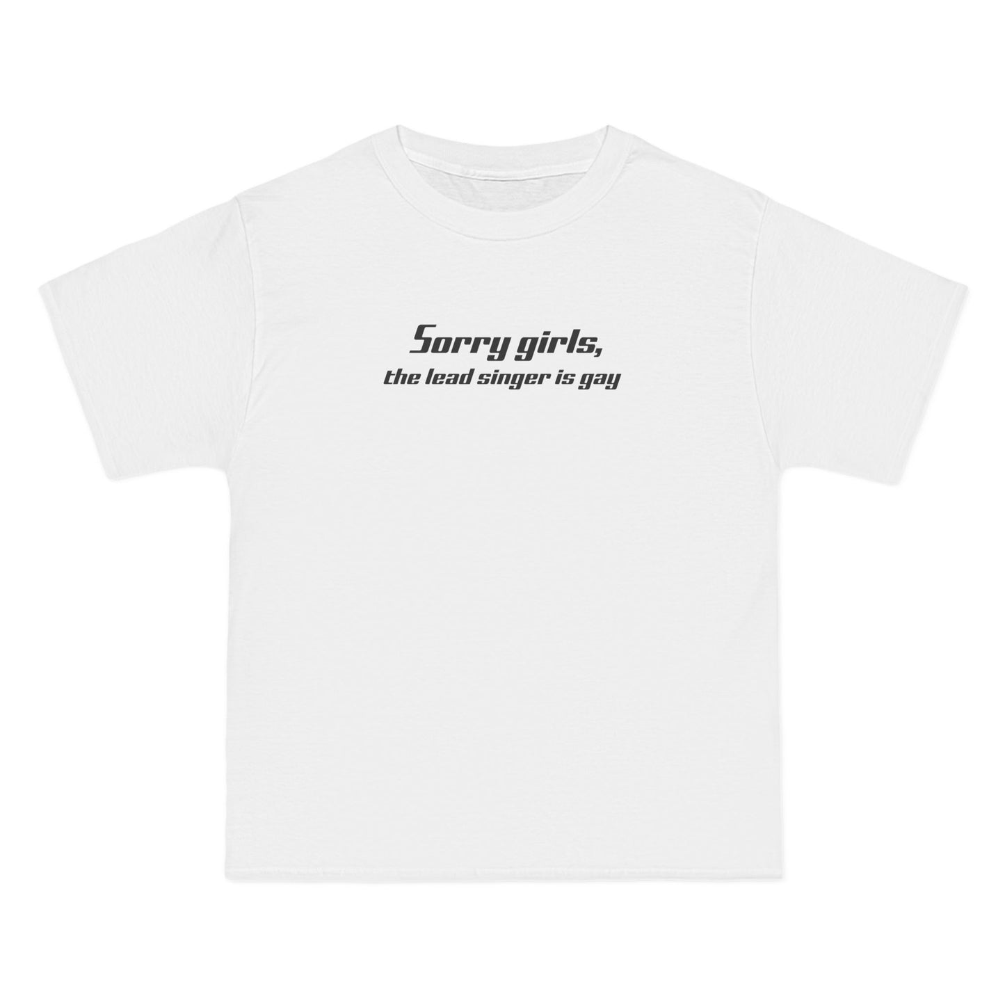 Sorry Girls - The Lead Singer Is Gay - Men's Heavyweight T-Shirt