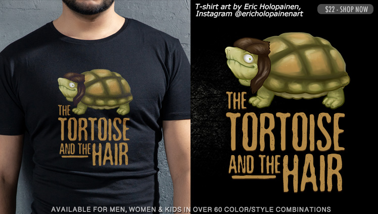 THE TORTOISE AND THE HAIR
