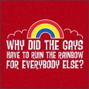 WHY DID THE GAYS HAVE TO RUIN THE RAINBOW FOR EVERYONE ELSE?